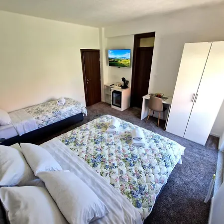 Mis Διαμέρισμα Τρέμπινιε